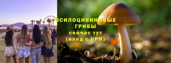 apvp Переславль-Залесский