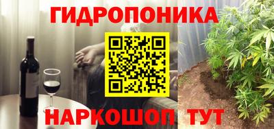 кокс Нальчик