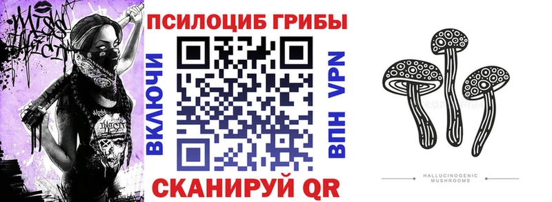 blacksprut tor  Рязань  Галлюциногенные грибы Psilocybe  где купить наркоту 