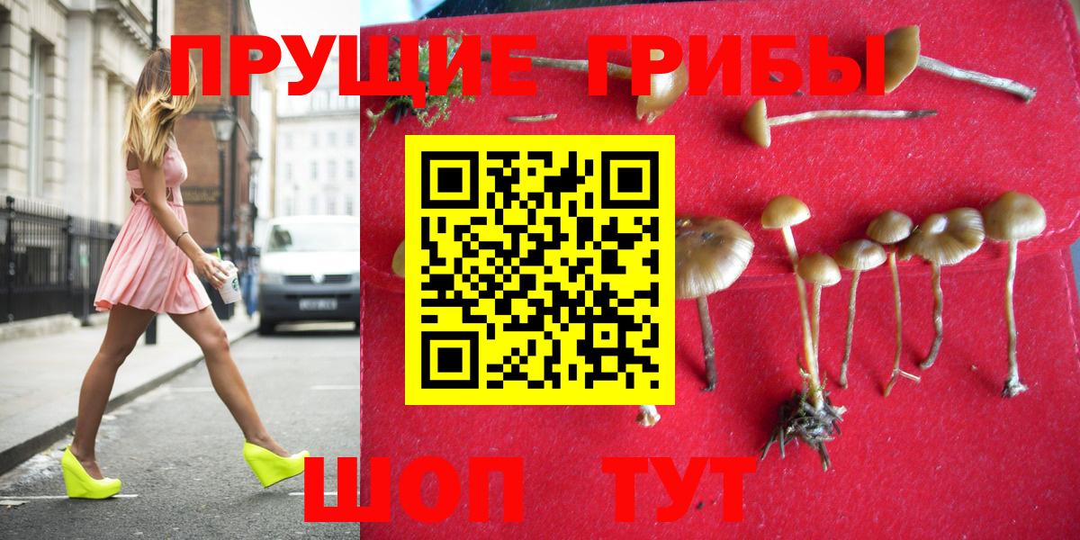 Галлюциногенные грибы GOLDEN TEACHER Рязань