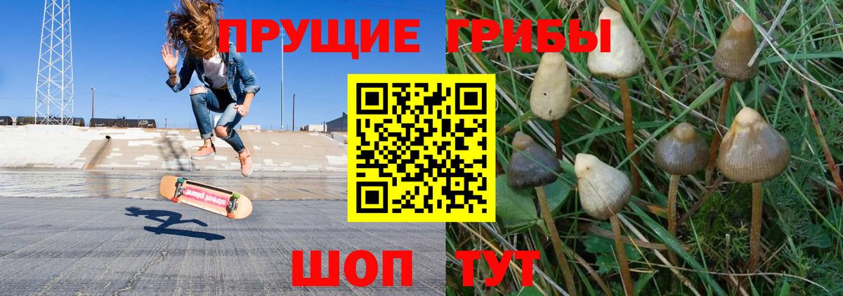 цена   Галлюциногенные грибы прущие грибы  Вход с VPN  Рязань  Галлюциногенные грибы Magic Shrooms 
